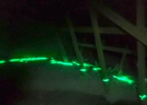 An infra red photo that shows the leaks that can be found in a attic.